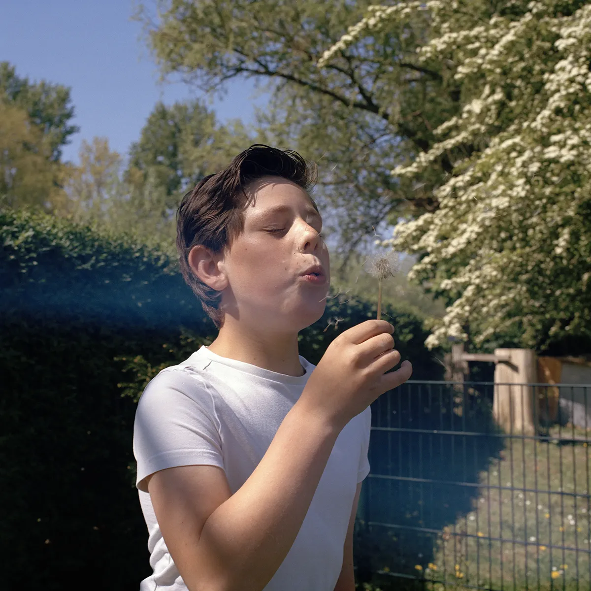 Een portret van een jonge jongen die in een groene omgeving in een wit shirt een paardenbloem uitblaast.